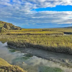 San Quintín Estuary - San Quintín