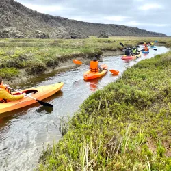 San Quintín Estuary - San Quintín