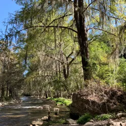 Cumbres de Monterrey National Park - Santiago