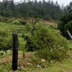 El Cercado - Santiago