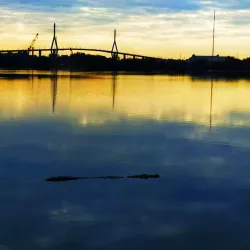 Laguna del Carpintero - Tampico