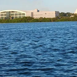 Laguna del Carpintero - Tampico