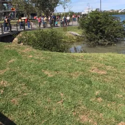 Laguna del Carpintero - Tampico