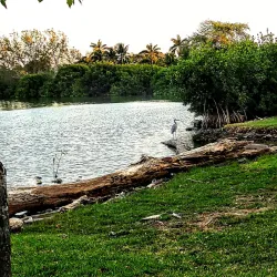 Laguna del Carpintero - Tampico