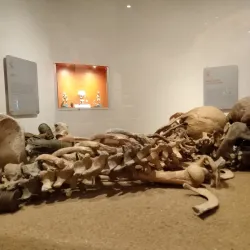 Museo de la Cultura Huasteca - Tampico