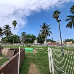 Parque Metropolitano - Tampico