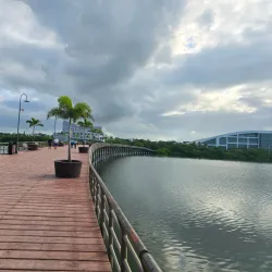 Parque Metropolitano - Tampico