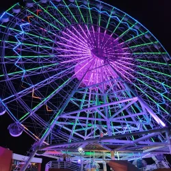 Parque Metropolitano - Tampico