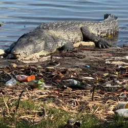 Parque Metropolitano - Tampico