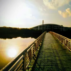 Parque Metropolitano - Tampico