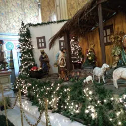 Tampico Cathedral (Catedral de la Inmaculada Concepción) - Tampico