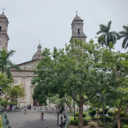 Tampico Cathedral (Catedral de la Inmaculada Concepción) - Tampico