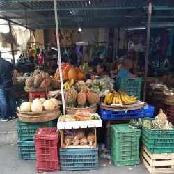 Mercado de Tapachula - Tapachula