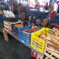Mercado de Tapachula - Tapachula