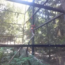 Parque Ecoturístico El Zapotal - Tapachula