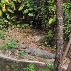 Parque Ecoturístico El Zapotal - Tapachula