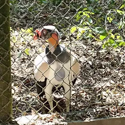 Parque Ecoturístico El Zapotal - Tapachula