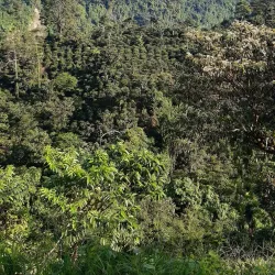 Volcán Tacaná - Tapachula