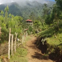 Volcán Tacaná - Tapachula