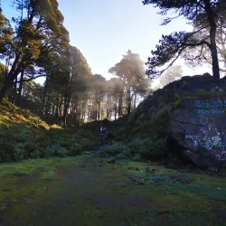 Volcán Tacaná - Tapachula