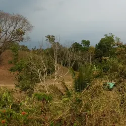 Zona Arqueológica Izapa - Tapachula