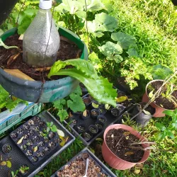 Centro Cultural Temixco - Temixco