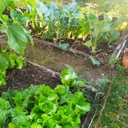 Centro Cultural Temixco - Temixco