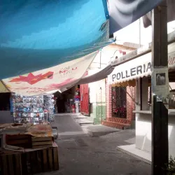 Mercado Municipal de Temixco - Temixco