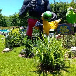 Parque Acuático Ojo de Agua - Temixco