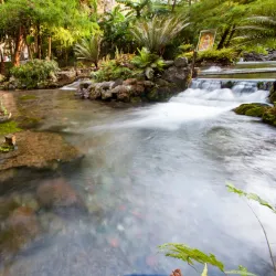 Parque Ecológico Chapultepec - Temixco