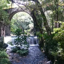 Parque Ecológico Chapultepec - Temixco