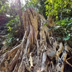 Parque Ecológico Chapultepec - Temixco