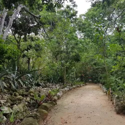 Parque La Ceiba - Temixco