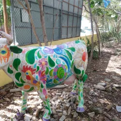 Parque La Ceiba - Temixco