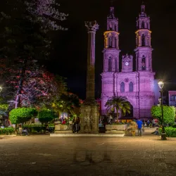 Cathedral of Tepic (Catedral de Tepic) - Tepic