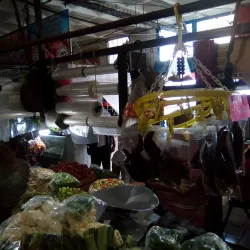 Mercado Juárez - Tepic