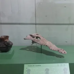 Museo Regional de Nayarit - Tepic