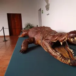 Museo Regional de Nayarit - Tepic