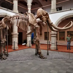 Museo Regional de Nayarit - Tepic