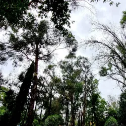 Parque El Pípila - Tepic