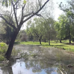 Parque Metropolitano de Tepic - Tepic