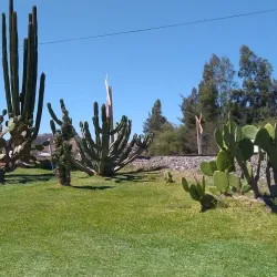 Zona Arqueológica de Los Toriles - Tepic