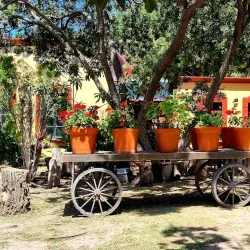 Centro Cultural Tequisquiapan - Tequisquiapan