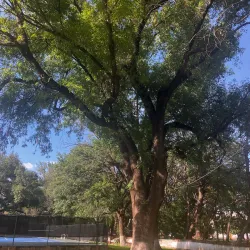 Parque La Pila - Tequisquiapan