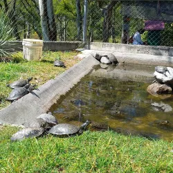 Parque Nacional El Cimatario - Tequisquiapan