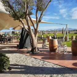 Viñedos La Redonda - Tequisquiapan