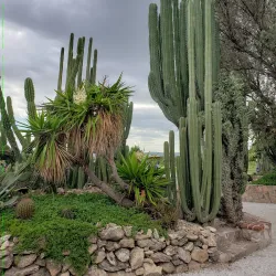 Viñedos La Redonda - Tequisquiapan