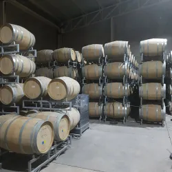 Viñedos La Redonda - Tequisquiapan