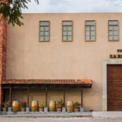 Viñedos La Redonda - Tequisquiapan