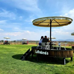 Viñedos La Redonda - Tequisquiapan